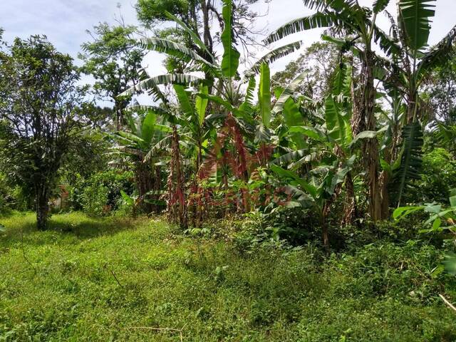 Área para Venda em Ubatuba - 3