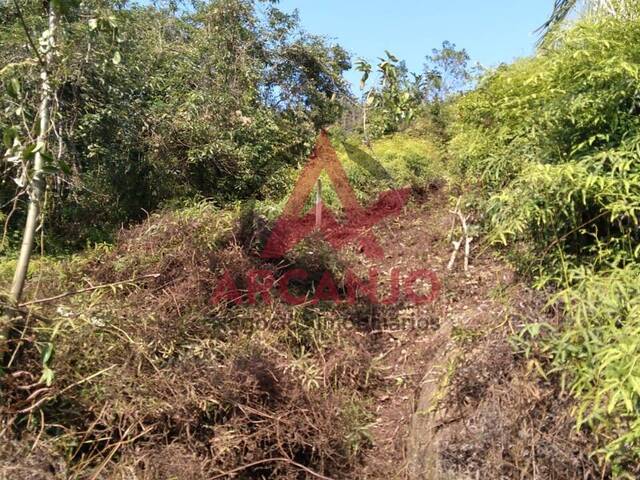 Terreno para Venda em Ubatuba - 2