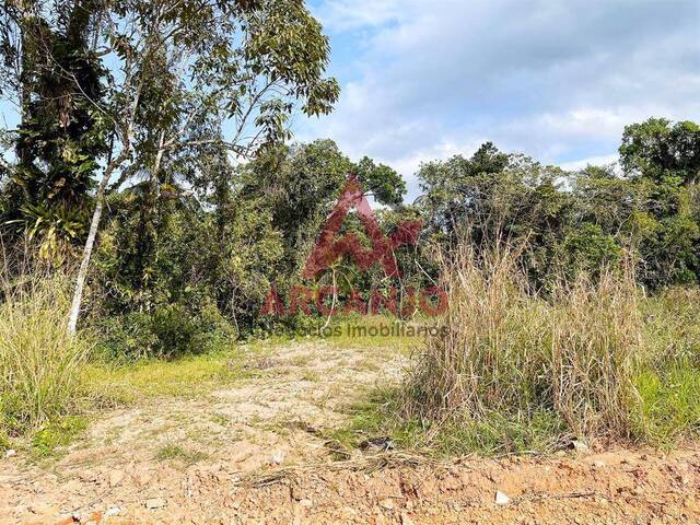 #5408 - Terreno para Venda em Ubatuba - SP - 3