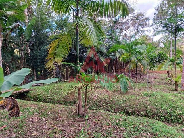 Chácara para Venda em São Luíz do Paraitinga - 4