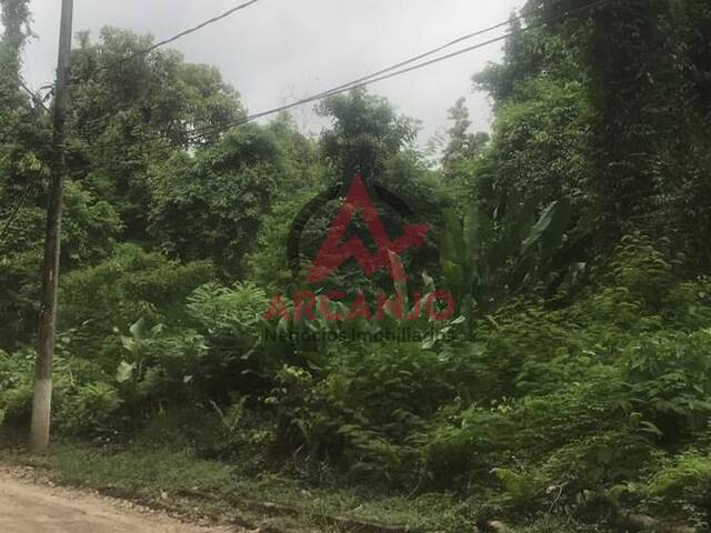 Terreno para Venda em Ubatuba - 2