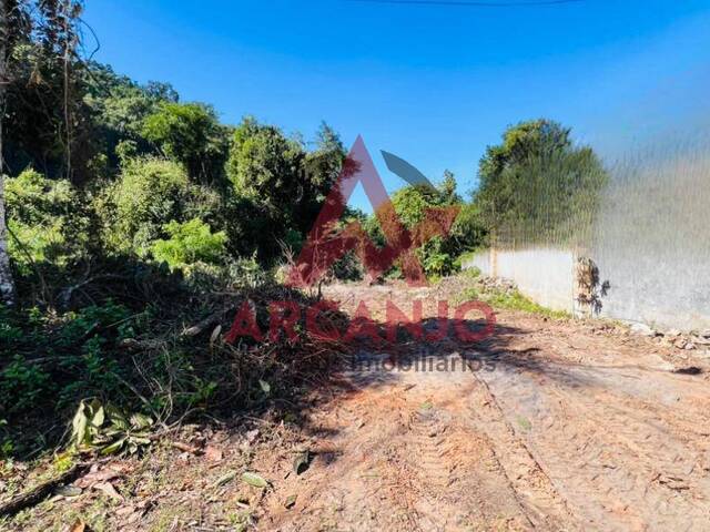 Área para Venda em Ubatuba - 2