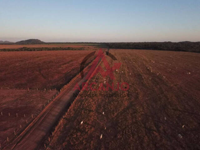 Fazenda para Venda em Santa Terezinha - 5