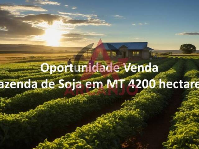 #6448 - Fazenda para Venda em Santa Terezinha - MT - 3