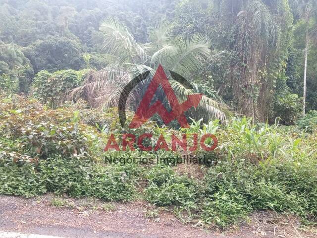 Terreno para Venda em Ubatuba - 5