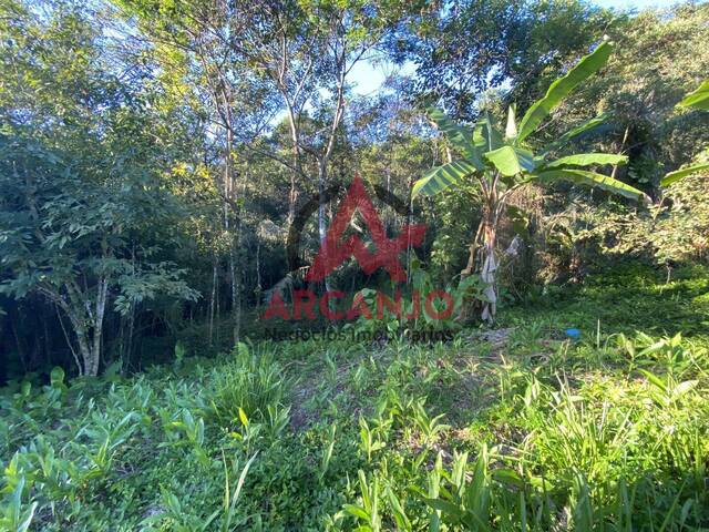 Área para Venda em Ubatuba - 5