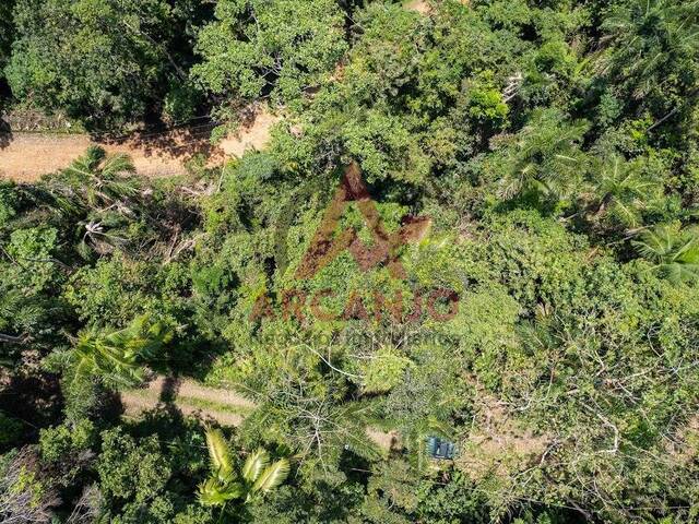 #6733 - Terreno para Venda em Ubatuba - SP - 2