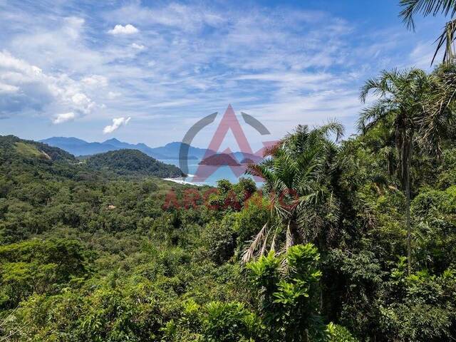 #6733 - Terreno para Venda em Ubatuba - SP - 1