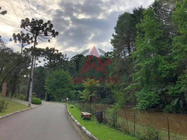 Terreno para Venda em Campos do Jordão - 5