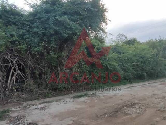 Terreno para Venda em Ubatuba - 4