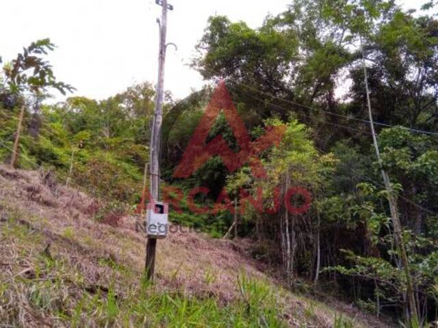 #6017 - Terreno para Venda em Ubatuba - SP - 3