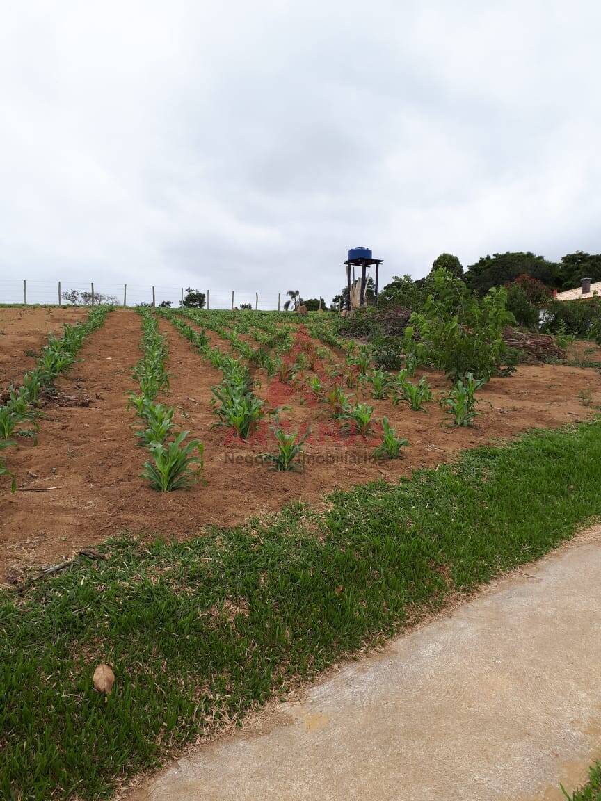 Terreno à venda, 60m² - Foto 5