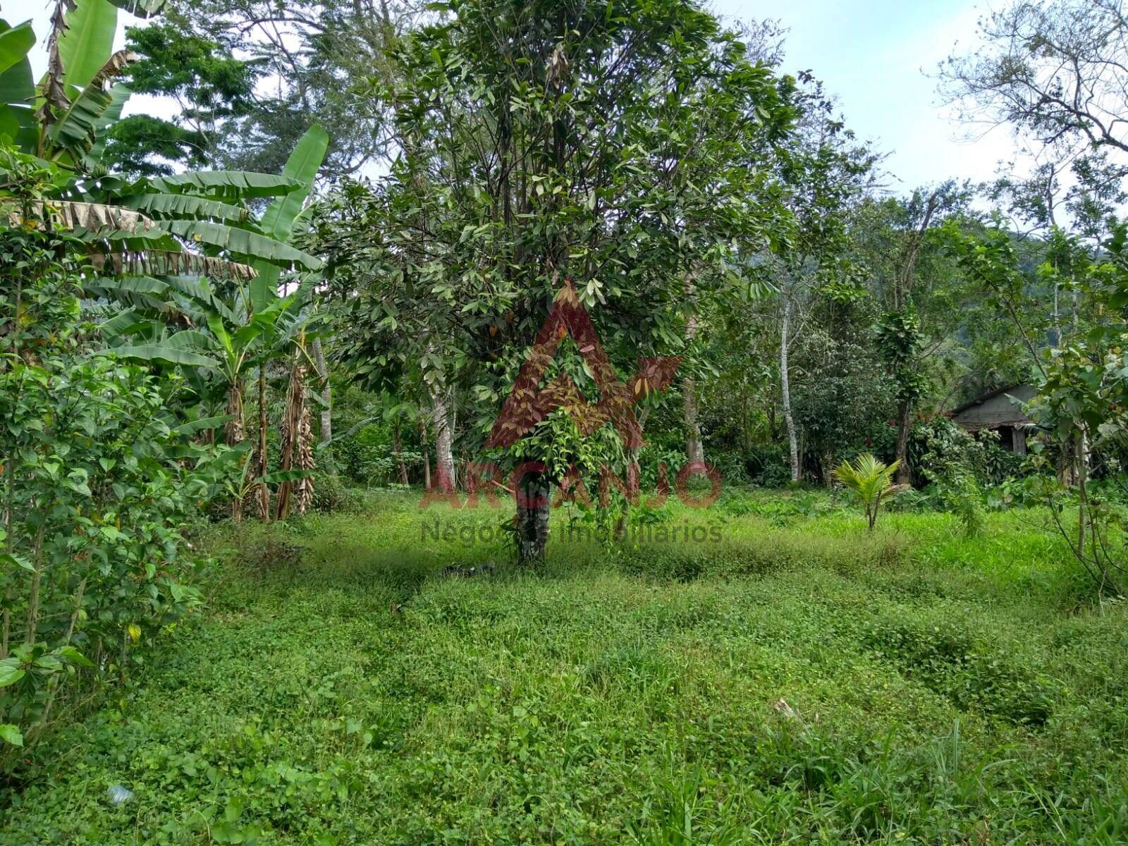 Terreno à venda, 1450m² - Foto 7