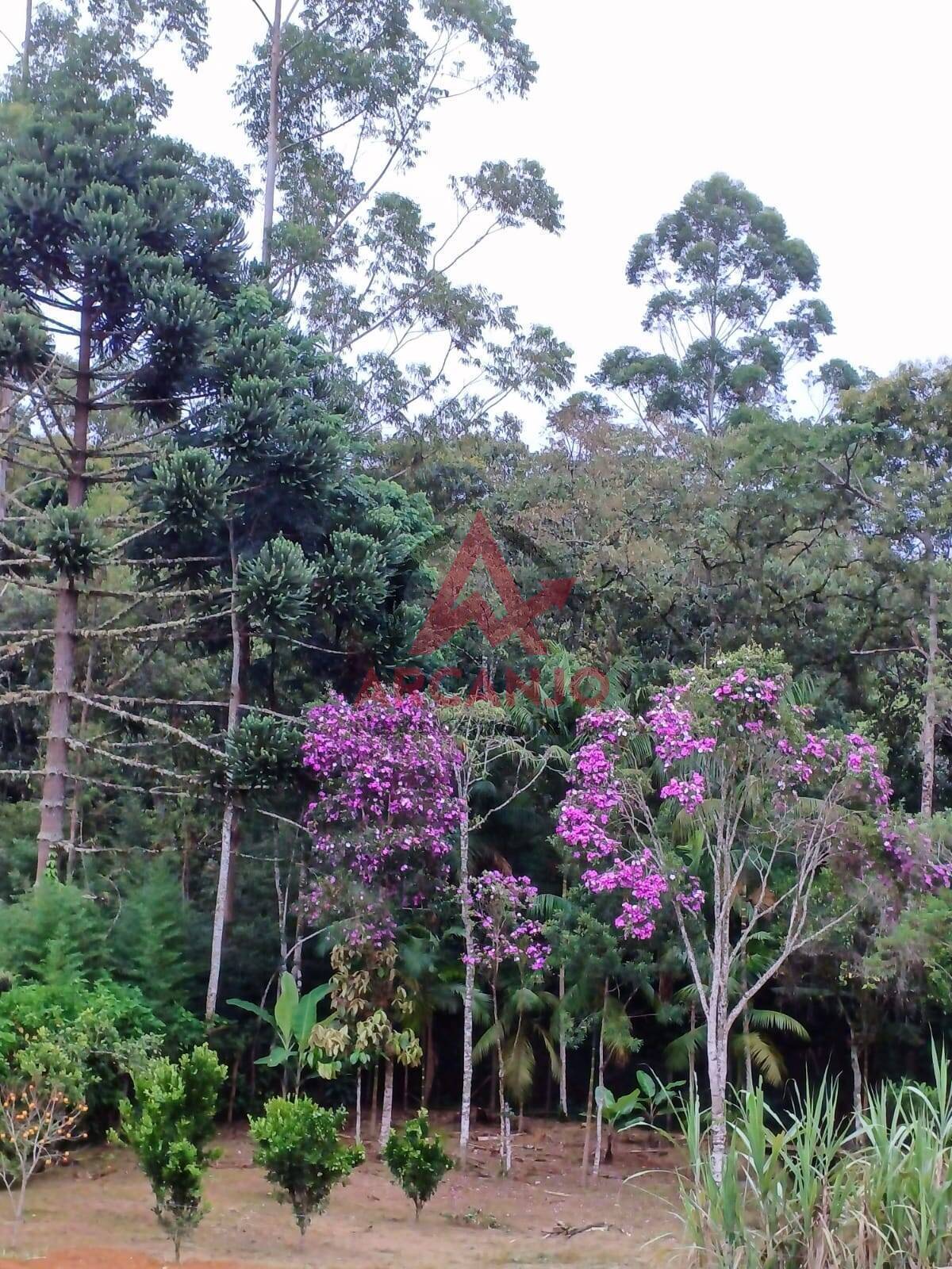 Fazenda à venda com 2 quartos, 150m² - Foto 3