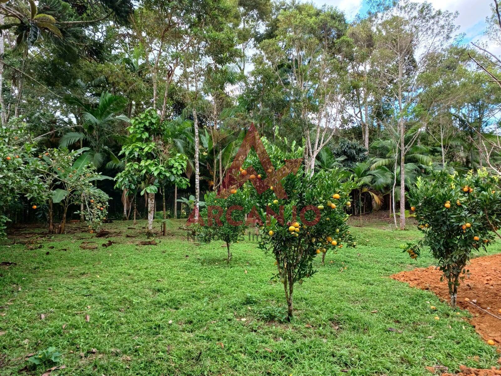 Fazenda à venda com 2 quartos, 150m² - Foto 12