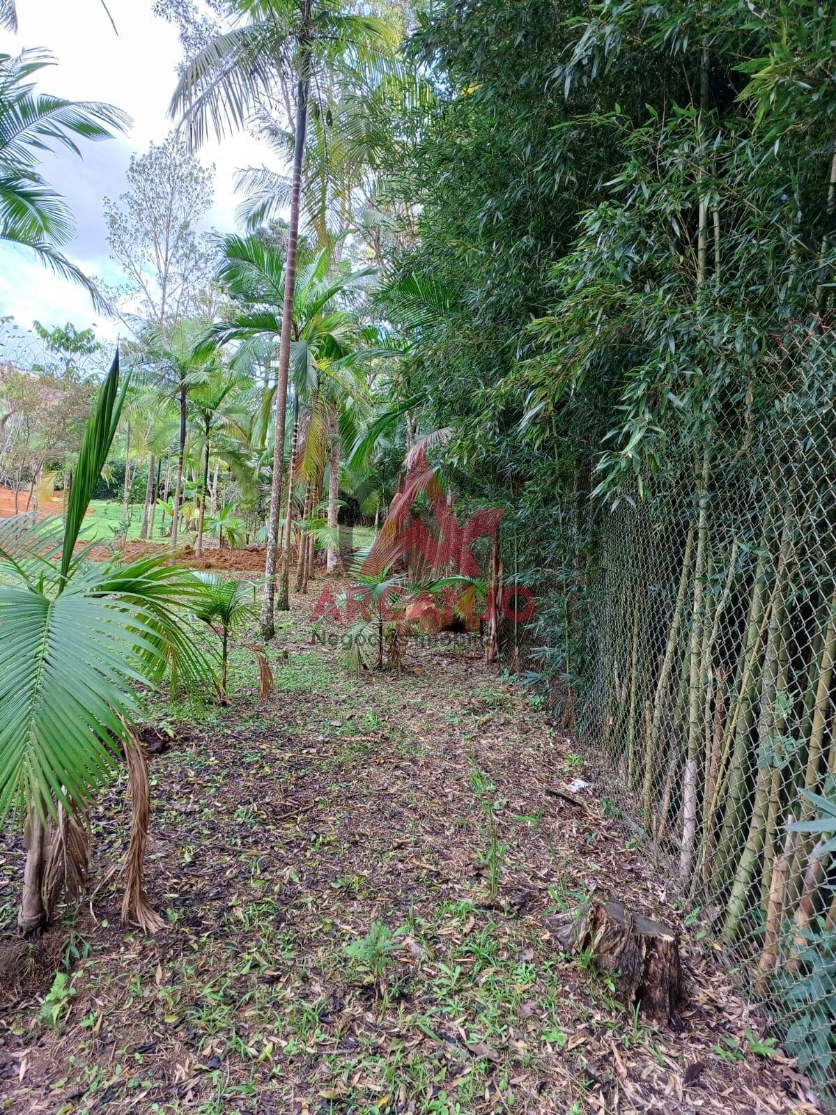 Fazenda à venda com 2 quartos, 150m² - Foto 17