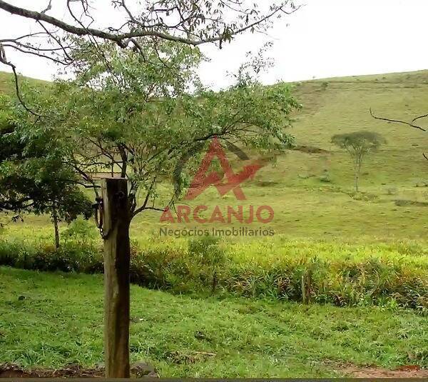 Fazenda à venda, 1533925m² - Foto 75