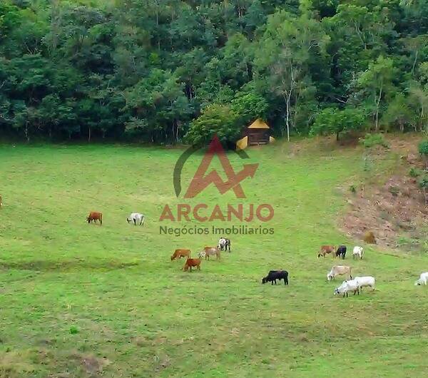 Fazenda à venda, 1533925m² - Foto 83