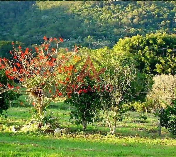 Fazenda à venda, 1533925m² - Foto 100