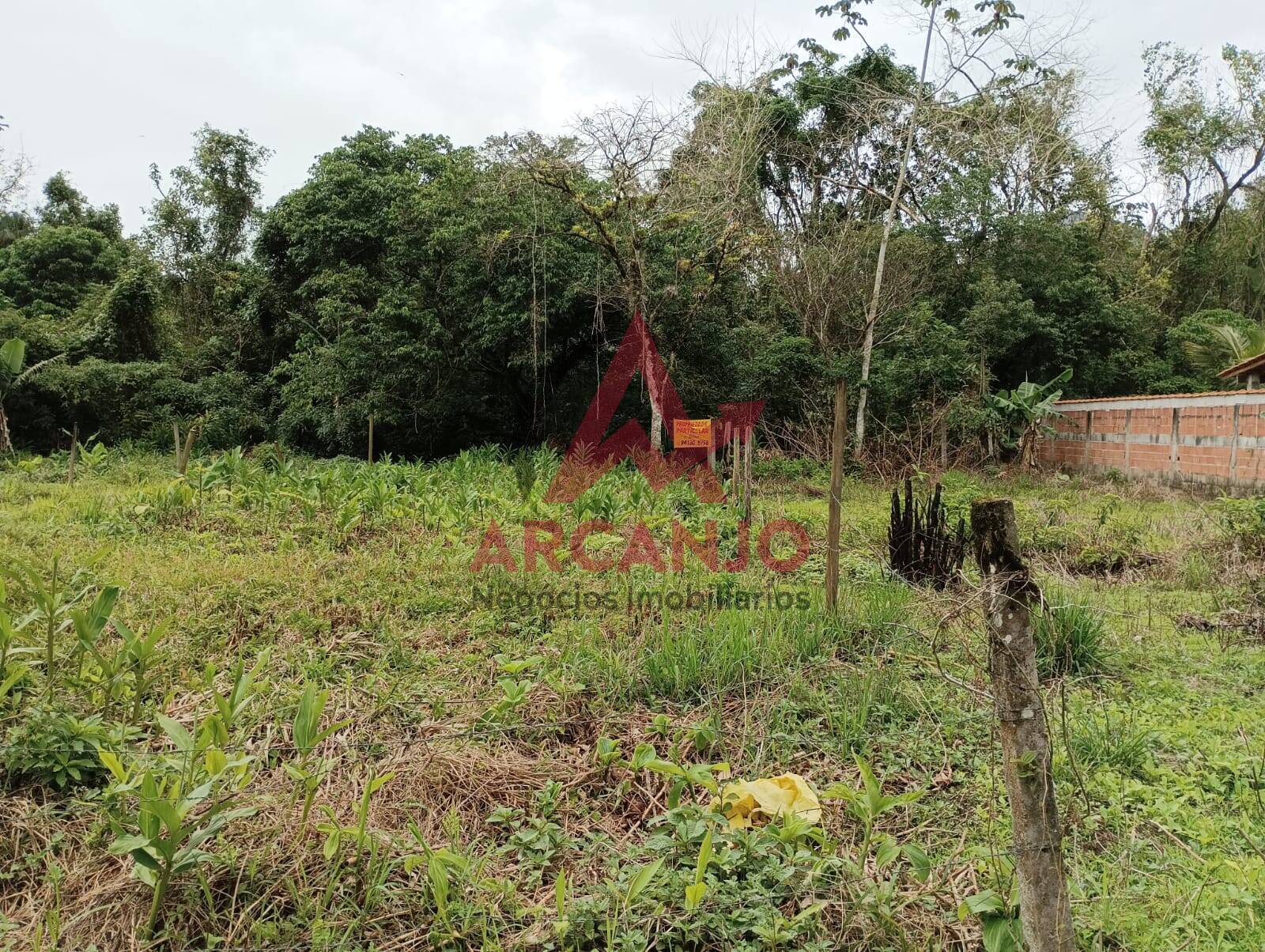 Terreno à venda, 245m² - Foto 1