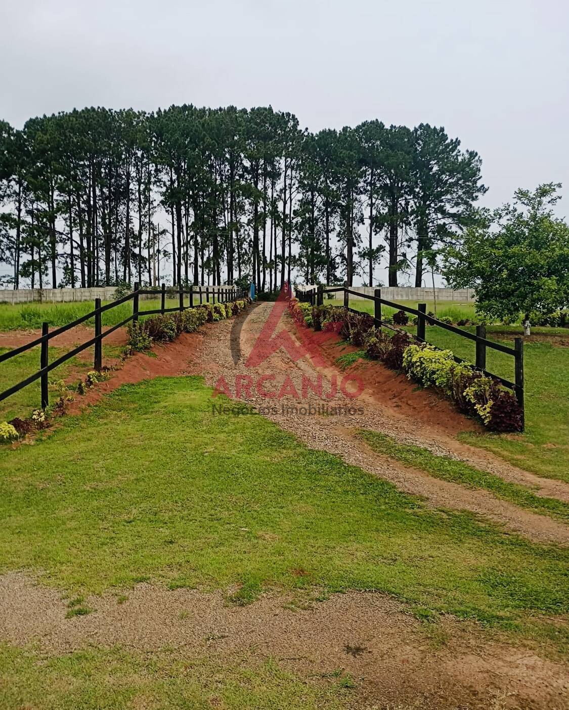 Fazenda à venda, 21417m² - Foto 18