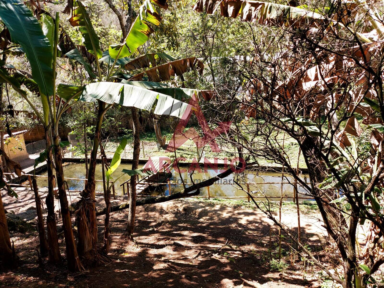 Fazenda à venda com 2 quartos, 5500m² - Foto 9