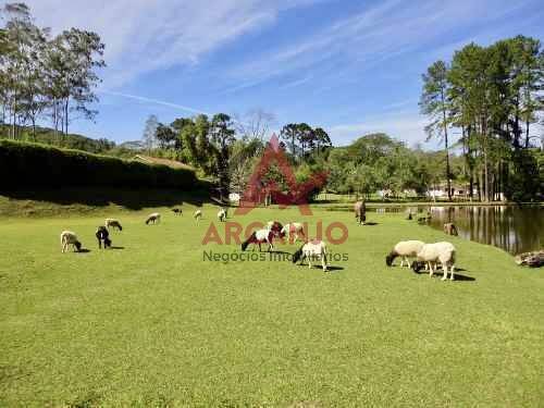 Fazenda à venda com 2 quartos, 410000m² - Foto 9