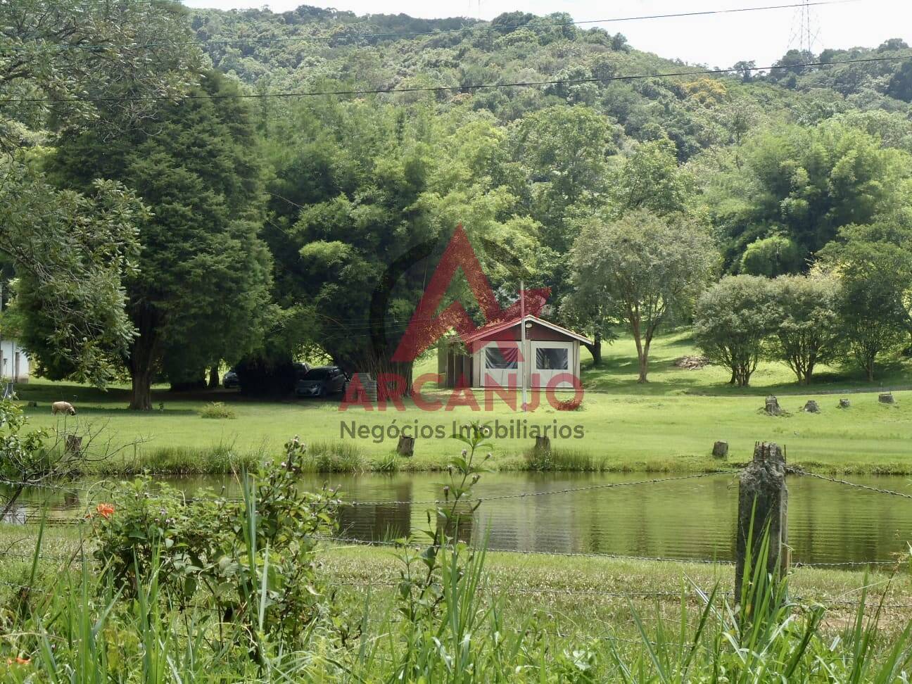 Fazenda à venda com 2 quartos, 410000m² - Foto 10