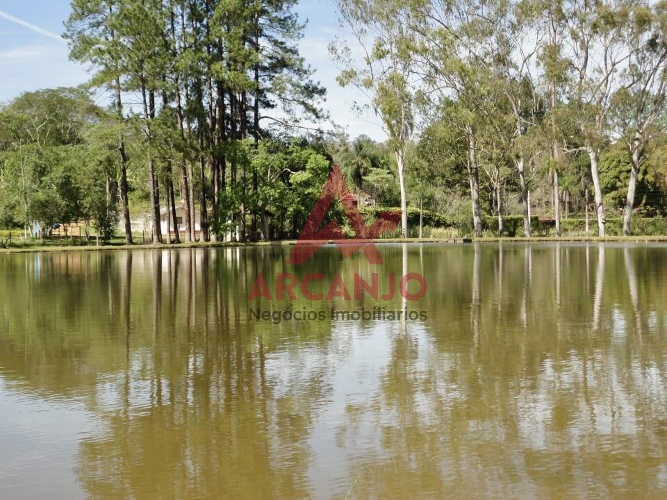 Fazenda à venda com 2 quartos, 410000m² - Foto 13