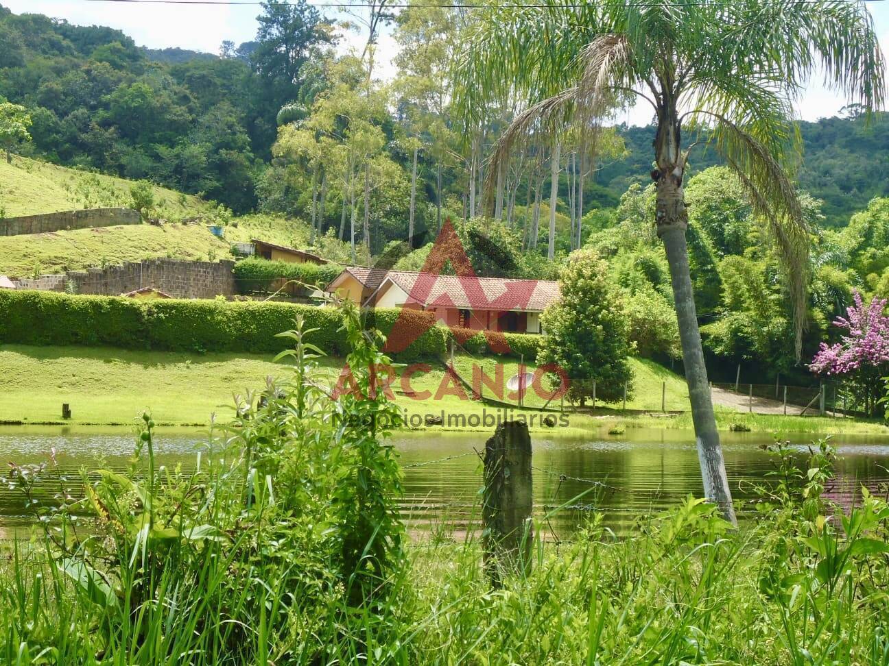 Fazenda à venda com 2 quartos, 410000m² - Foto 14