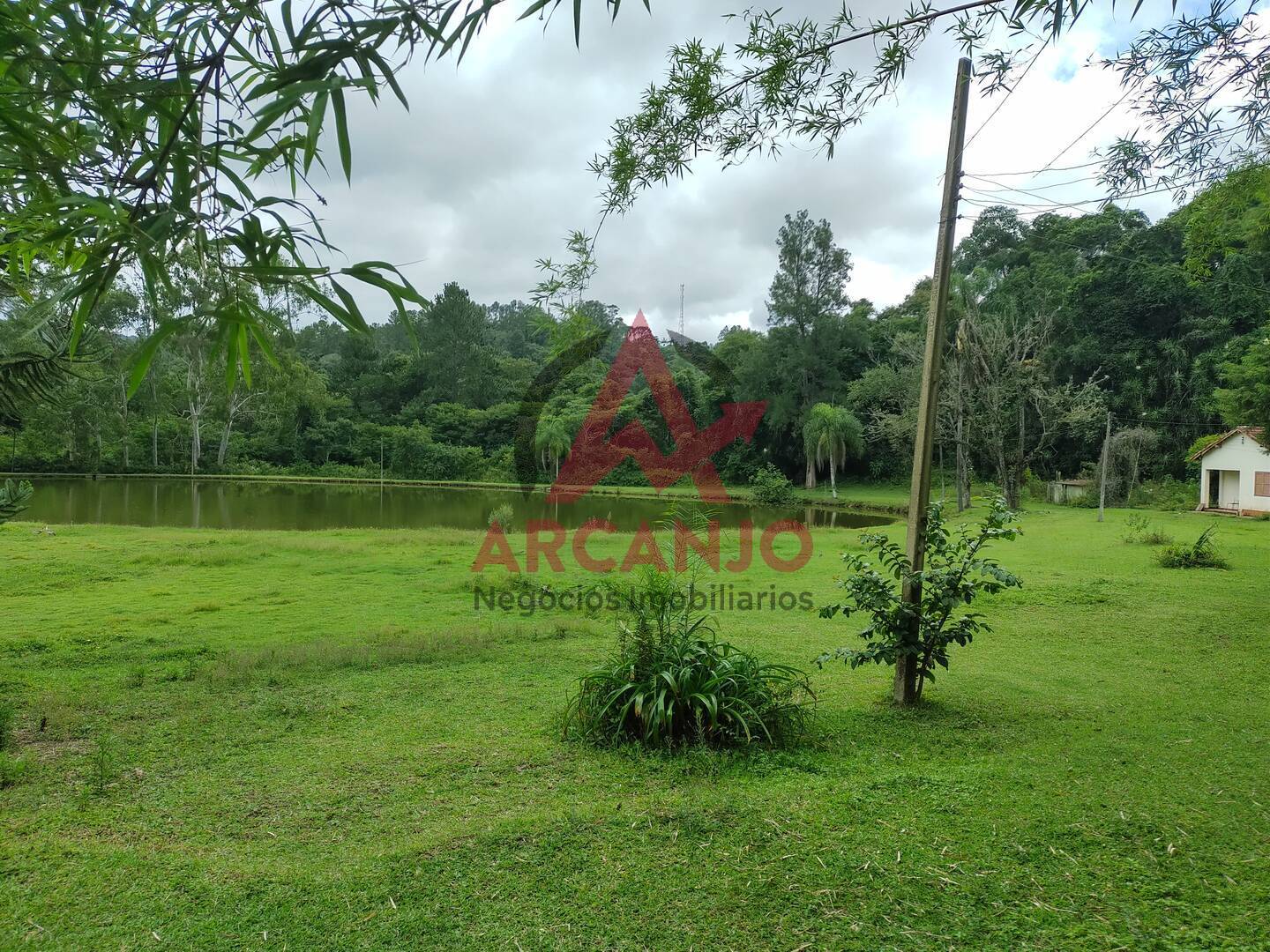 Fazenda à venda com 2 quartos, 410000m² - Foto 45