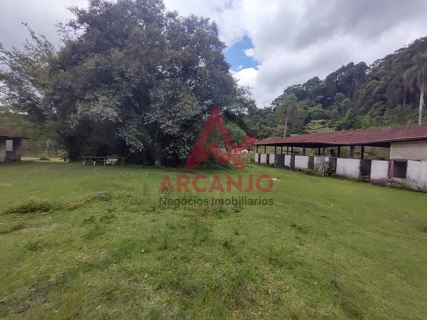 Fazenda à venda com 2 quartos, 410000m² - Foto 47