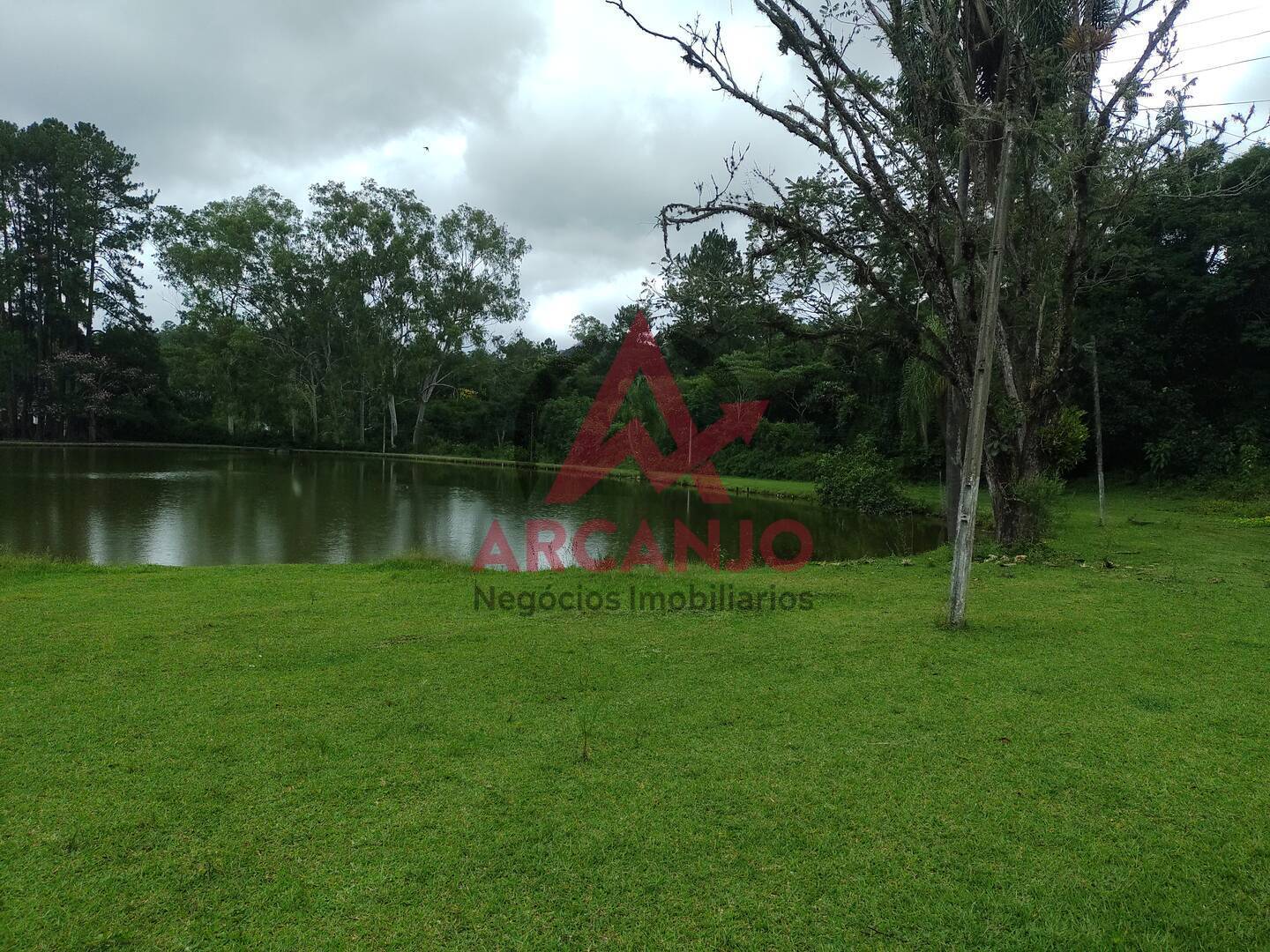 Fazenda à venda com 2 quartos, 410000m² - Foto 48