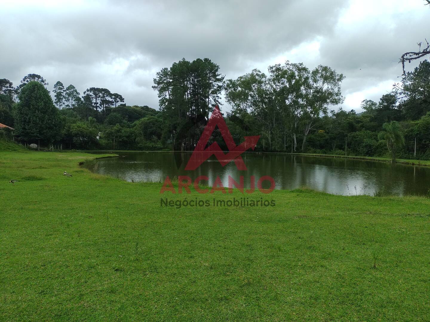 Fazenda à venda com 2 quartos, 410000m² - Foto 49