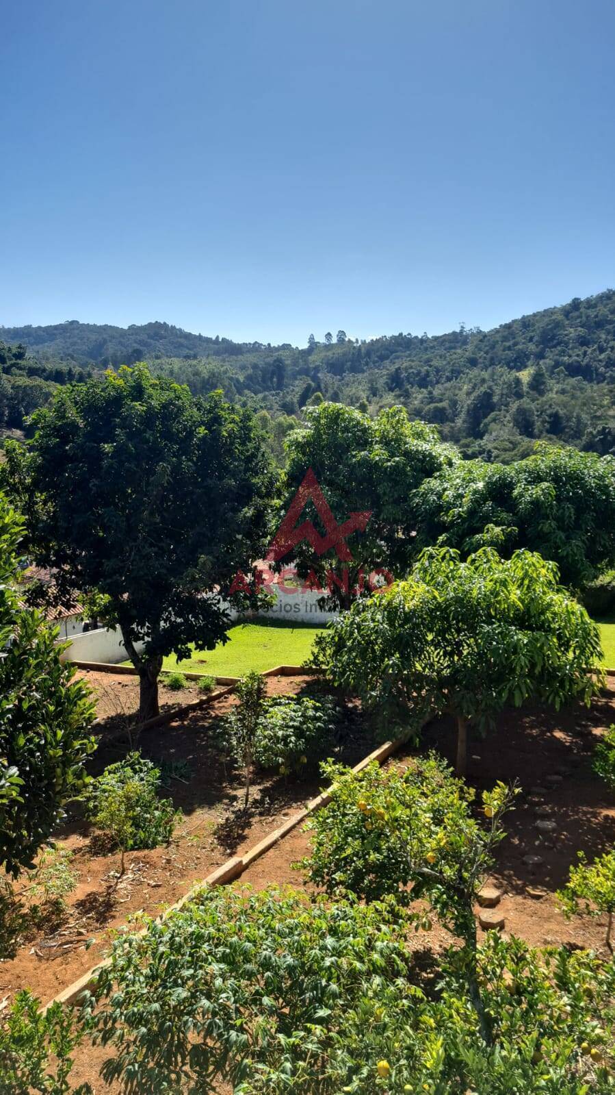 Fazenda à venda com 6 quartos, 2800m² - Foto 48