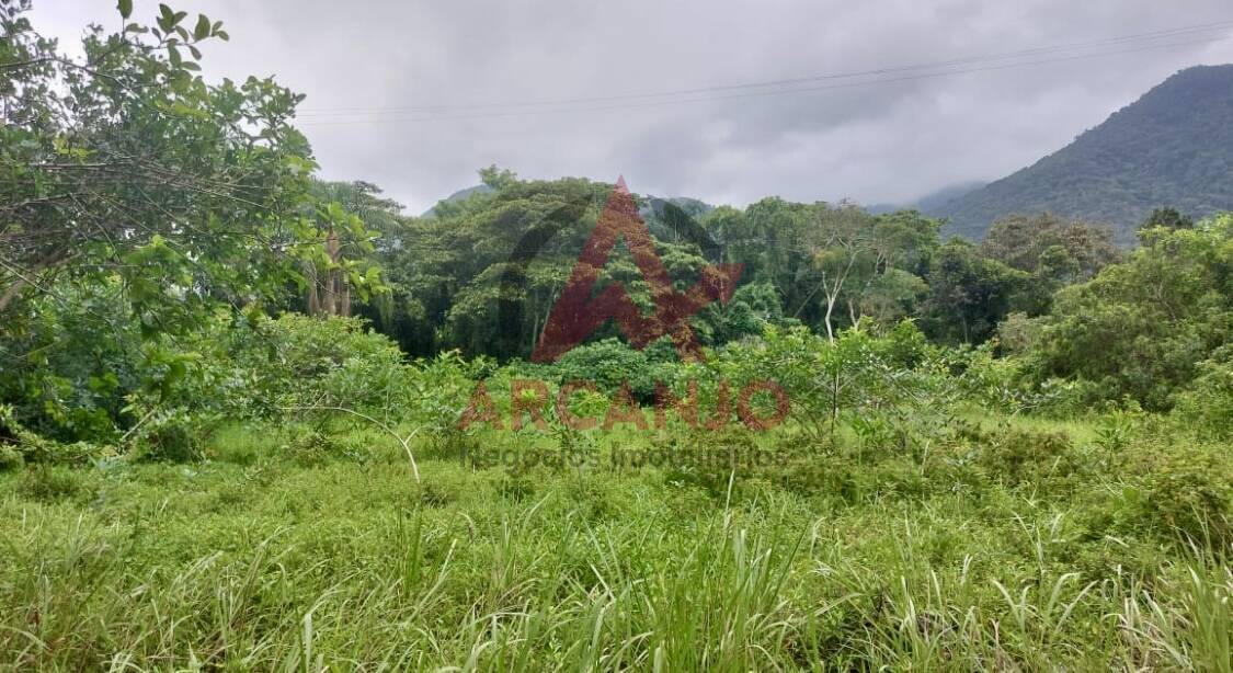 Terreno à venda, 26800m² - Foto 6