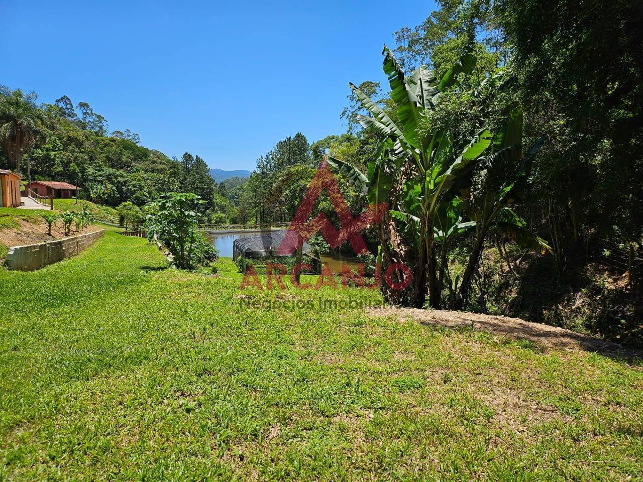 Fazenda à venda com 3 quartos, 250m² - Foto 12