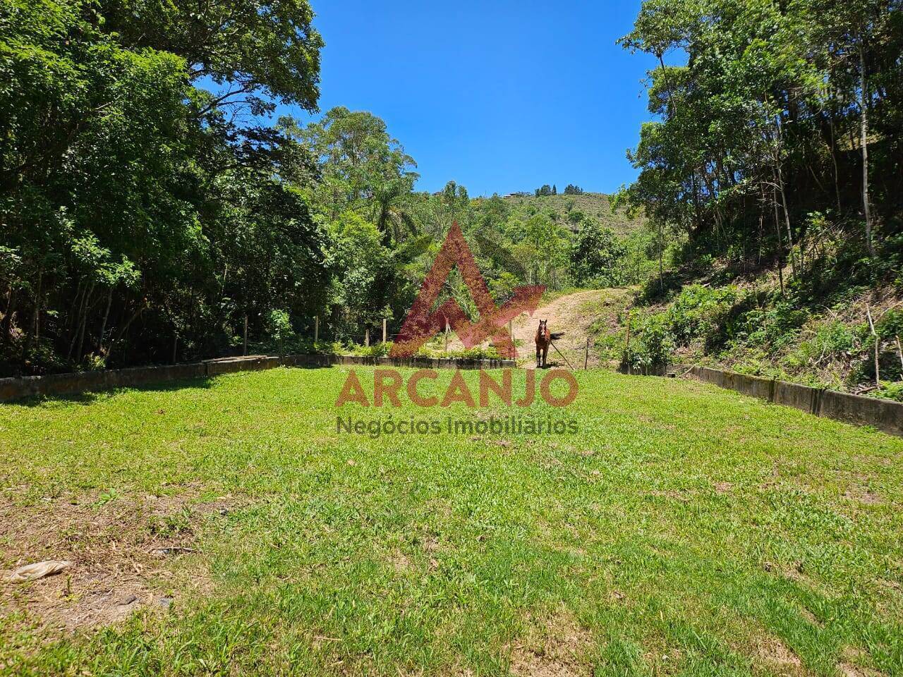 Fazenda à venda com 3 quartos, 250m² - Foto 11