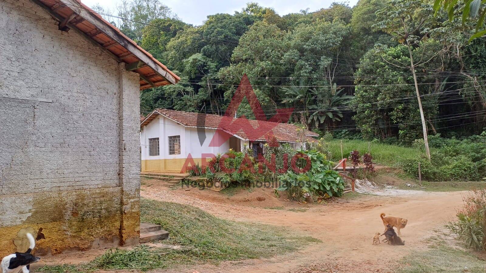 Fazenda à venda, 9650m² - Foto 7