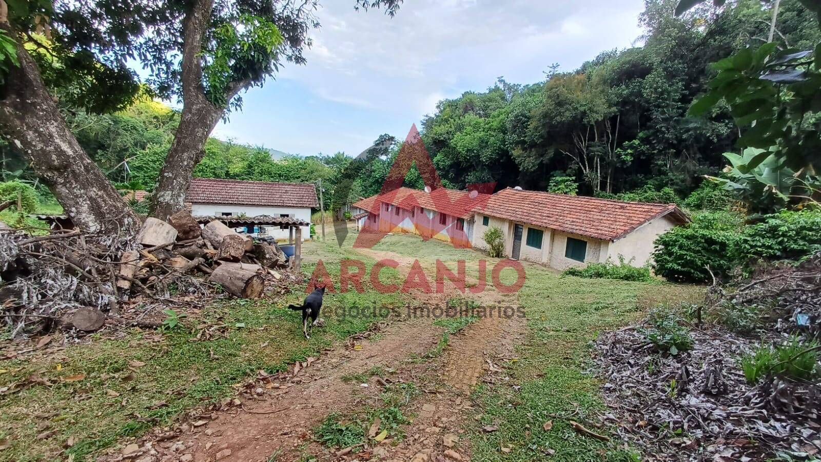 Fazenda à venda, 9650m² - Foto 12