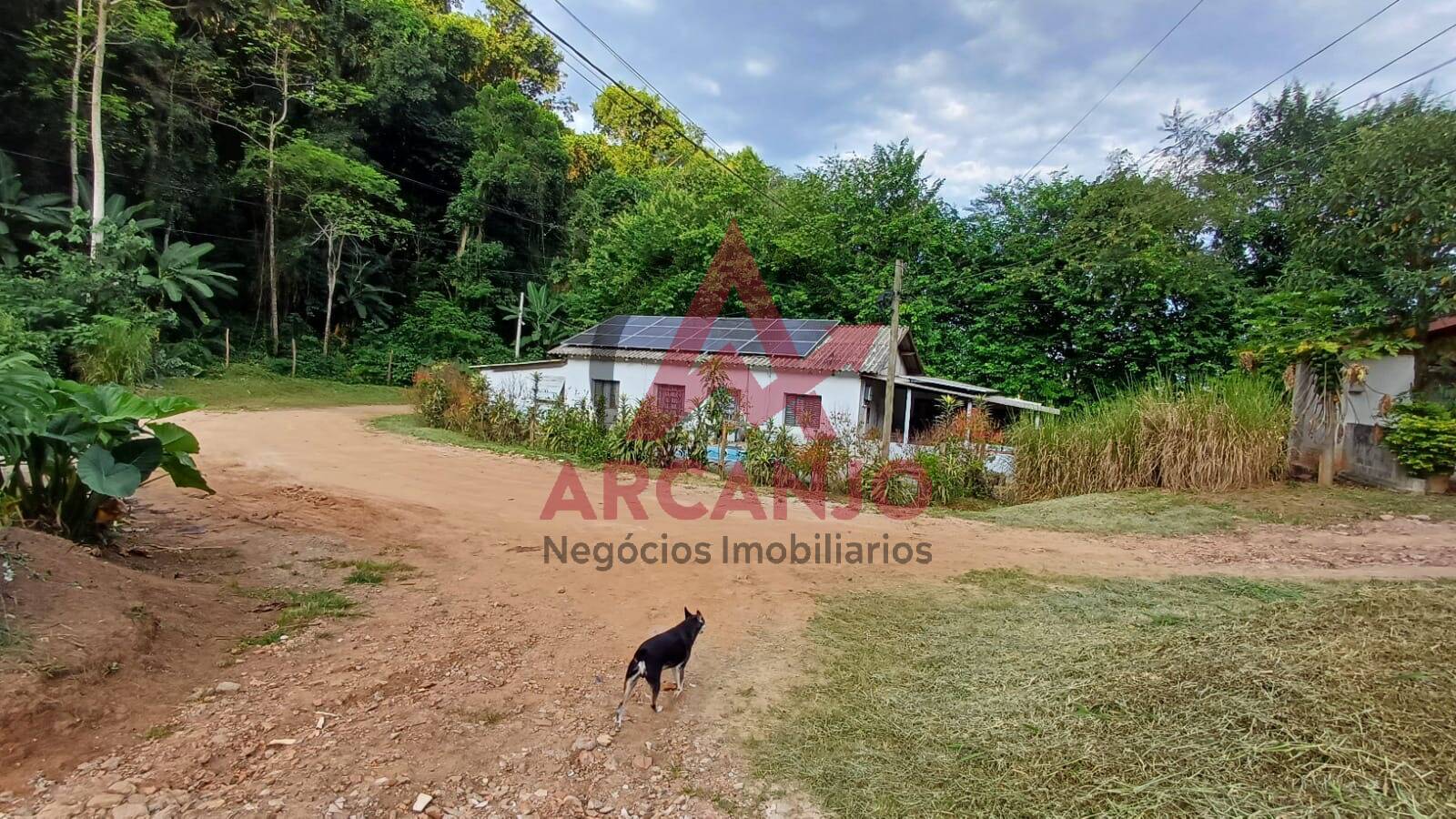 Fazenda à venda, 9650m² - Foto 17