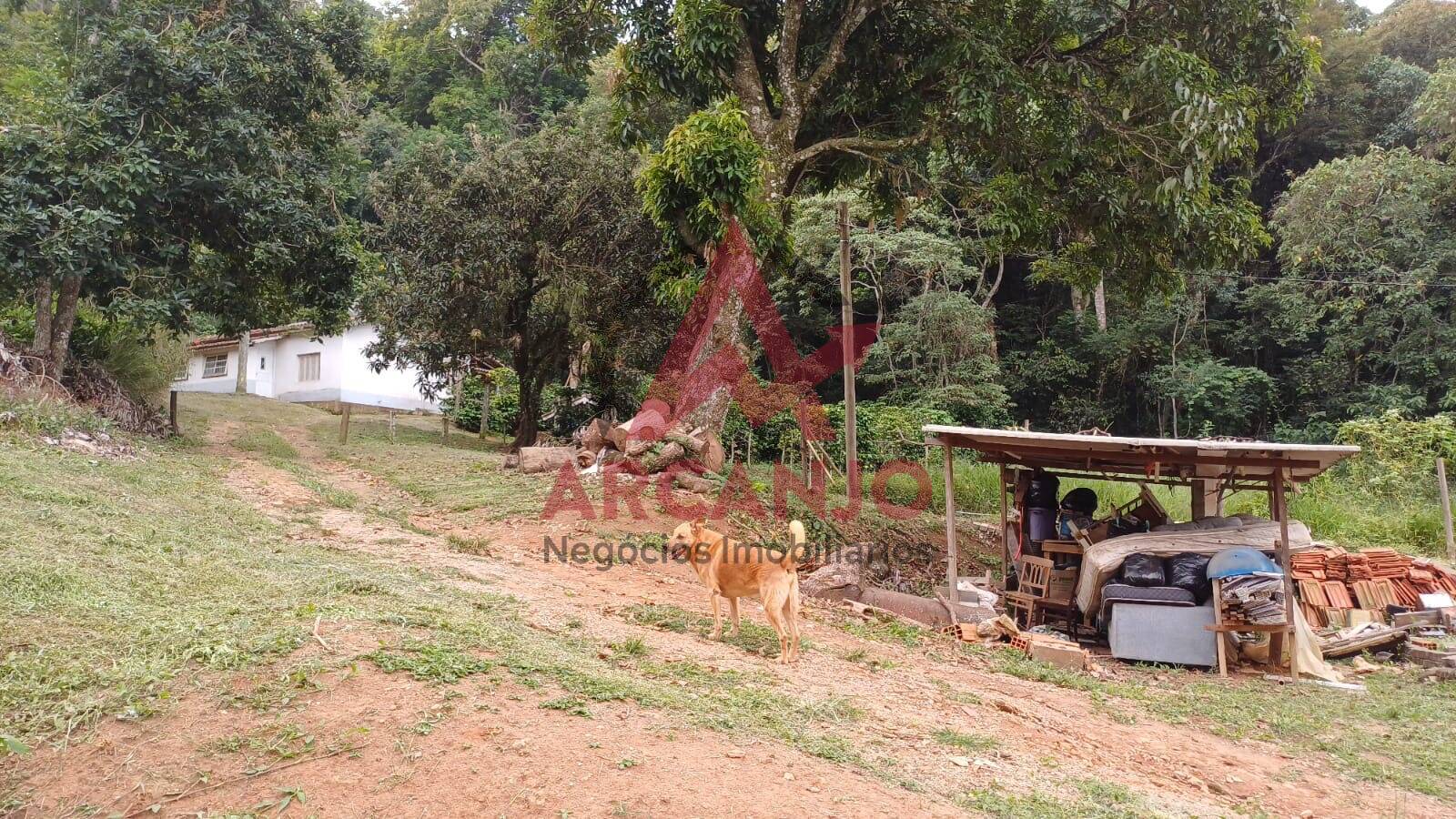 Fazenda à venda, 9650m² - Foto 20