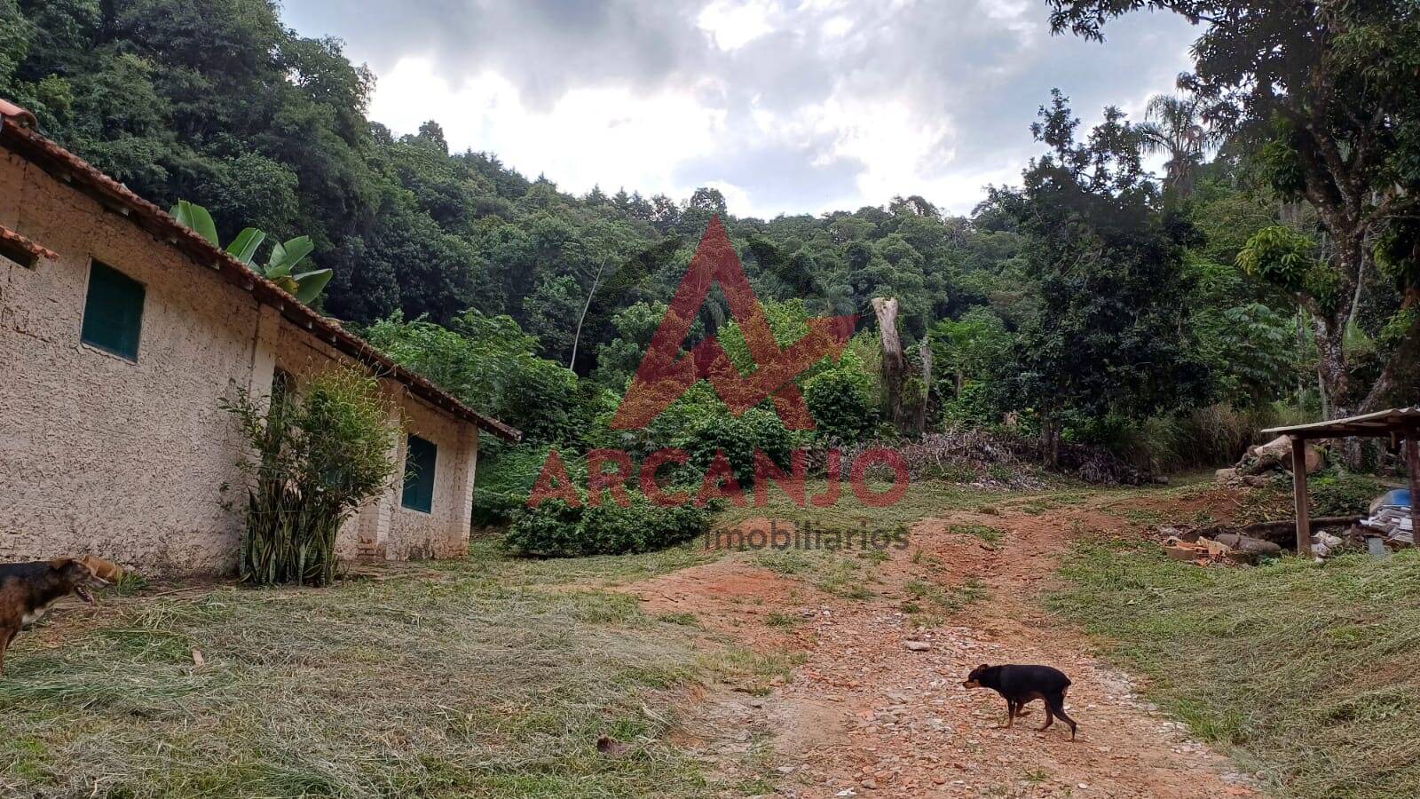 Fazenda à venda, 9650m² - Foto 28