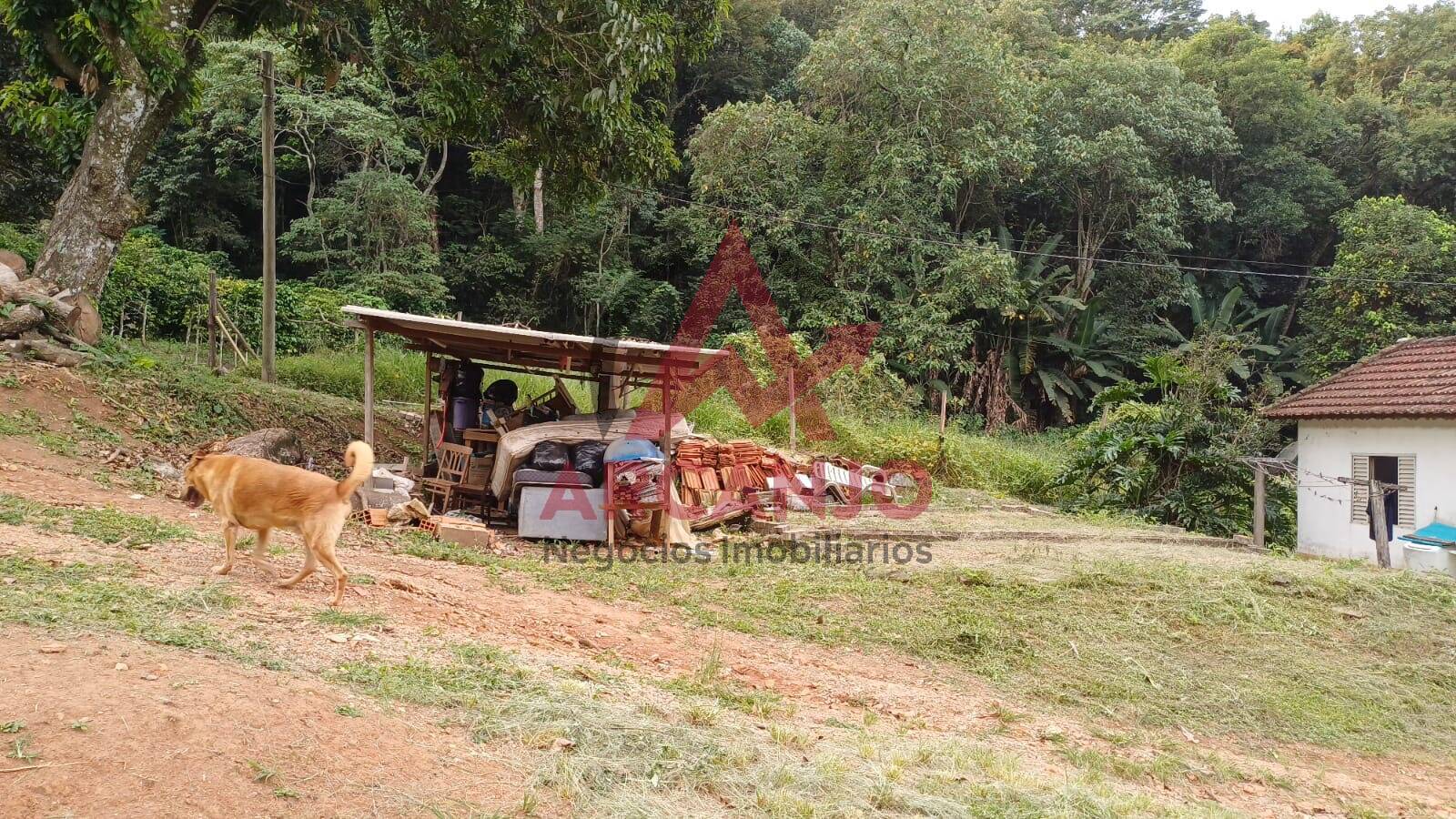 Fazenda à venda, 9650m² - Foto 34