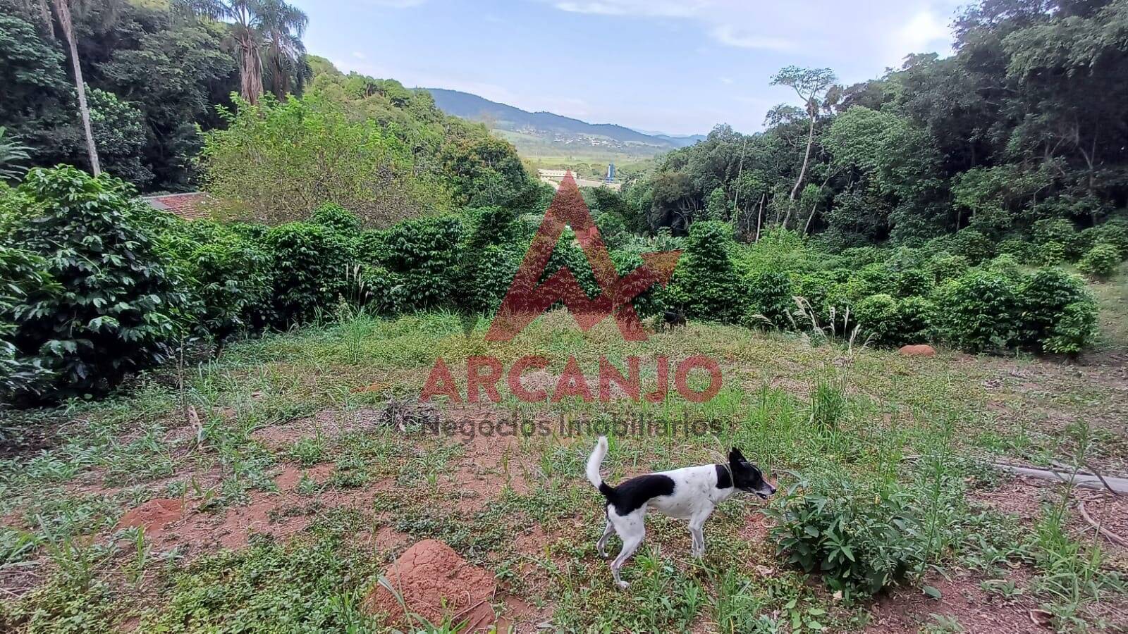 Fazenda à venda, 9650m² - Foto 36