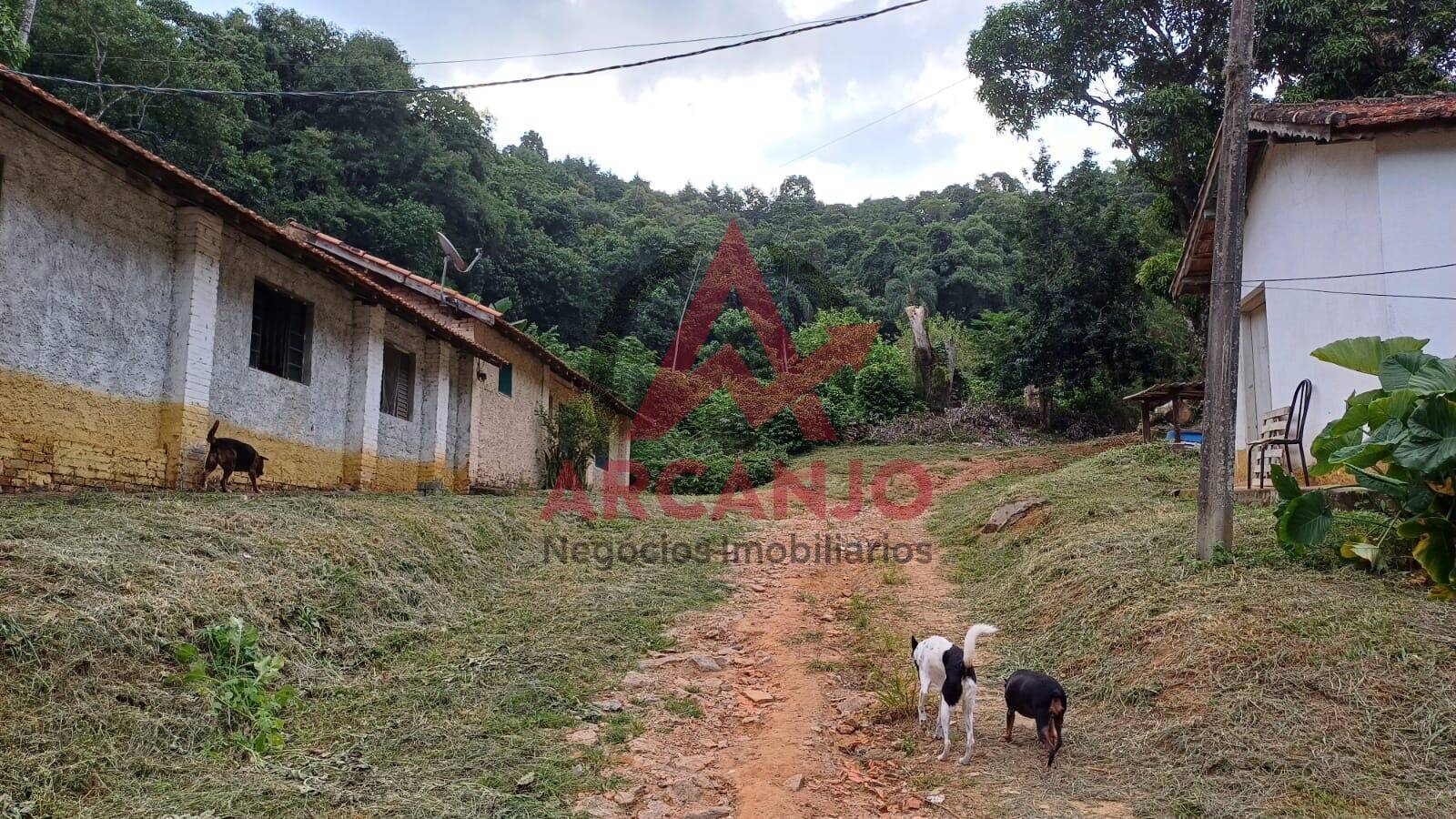 Fazenda à venda, 9650m² - Foto 38