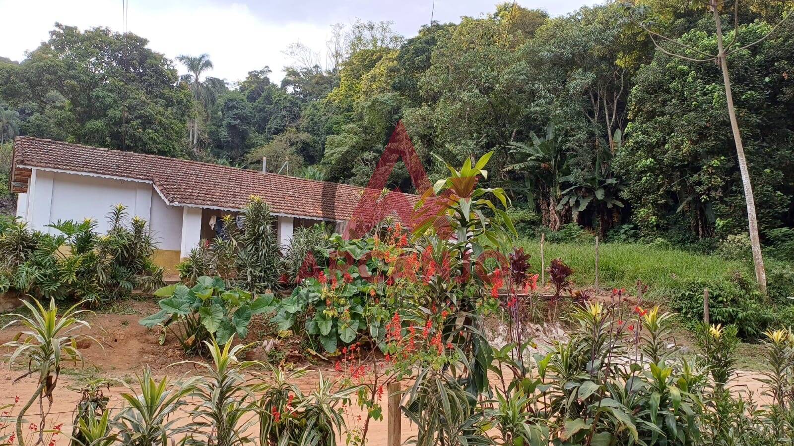 Fazenda à venda, 9650m² - Foto 39