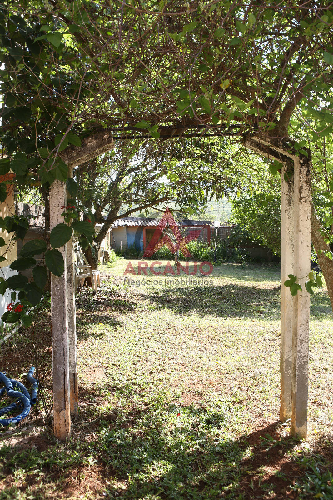 Fazenda à venda com 4 quartos, 1000m² - Foto 15