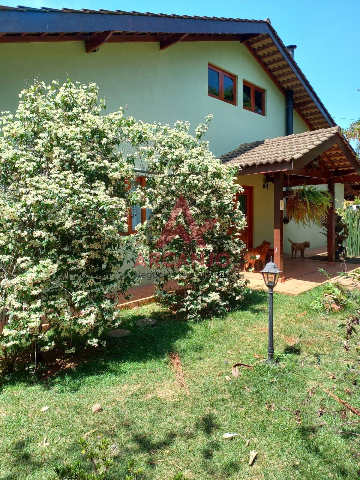 Casa à venda com 3 quartos, 1100m² - Foto 13