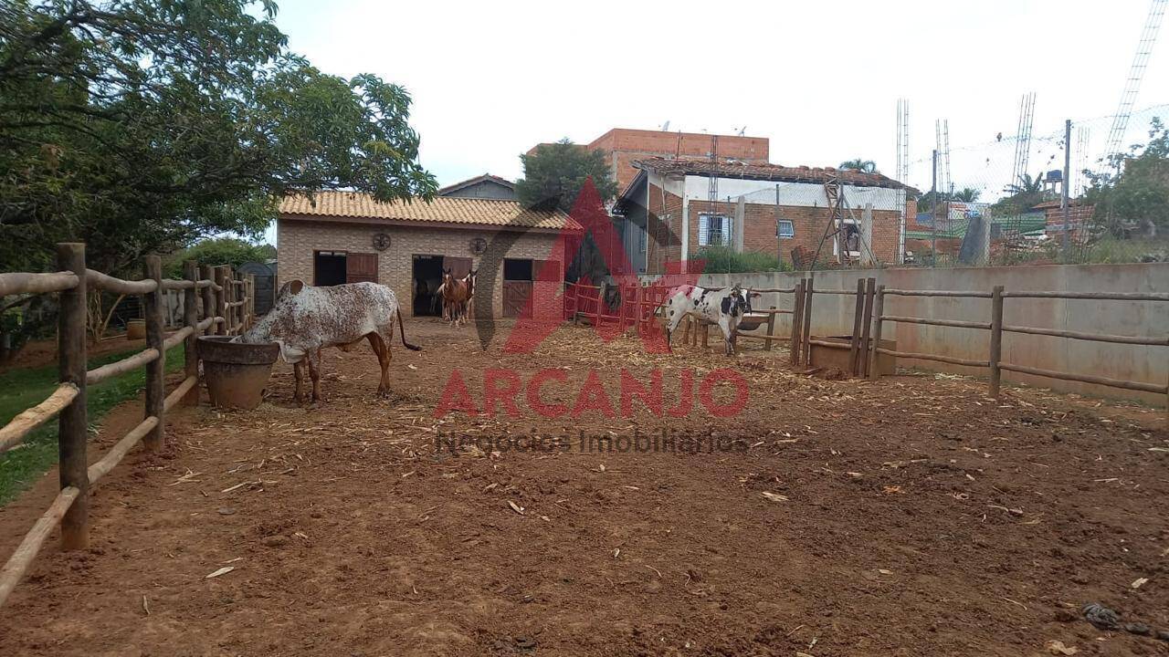 Fazenda à venda com 4 quartos, 1000m² - Foto 27